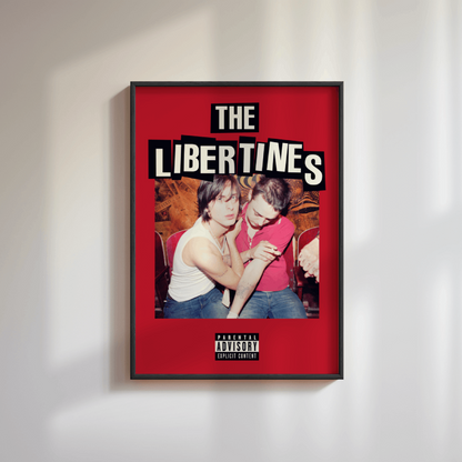 The Libertines Band Poster
